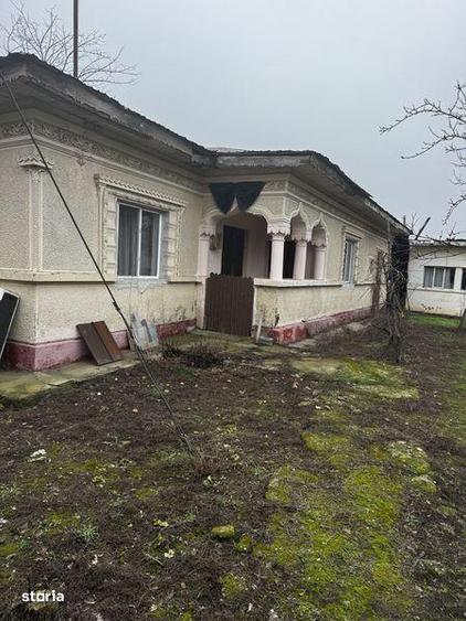 Casa cu teren 4850 mp Sabareni - 4