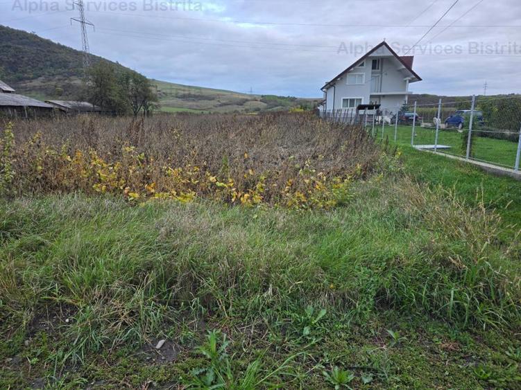 Teren 3500 mp intravilan in Cart. Sarata - BN - 2