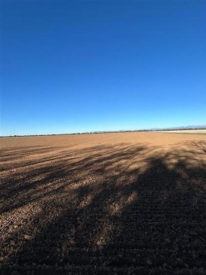 Magnolia Village | Teren 30.000 mp perfect pentru dezvoltare - 7