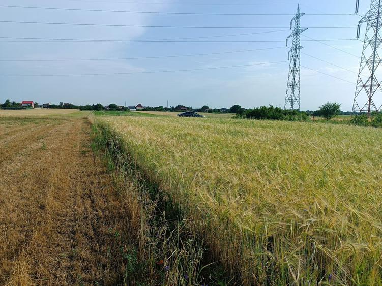 Teren extravilan - Simnicu de Sus, Albesti - 1