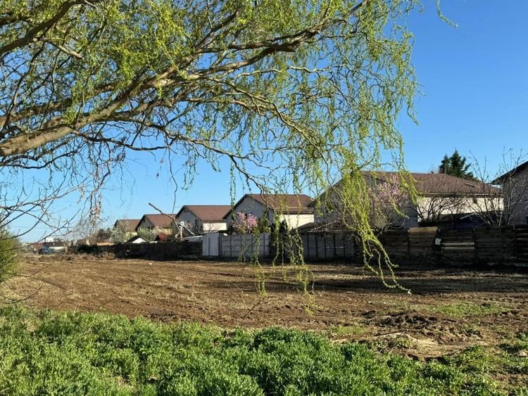 Domnesti, Drumul Targului, teren 1250mp, deschidere 20ml, utilitati. - 5