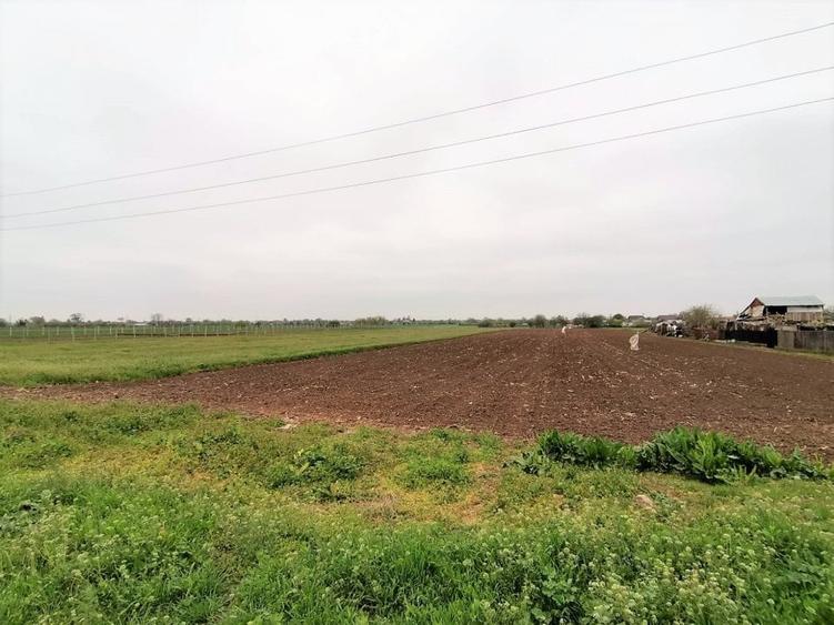 Teren intravilan Caracal / Str. Salcamului, 3.585 mp, 9 EUR / mp, comision 0% - 4