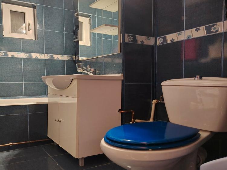 3 camere decomandat Lapus-Arges - 13