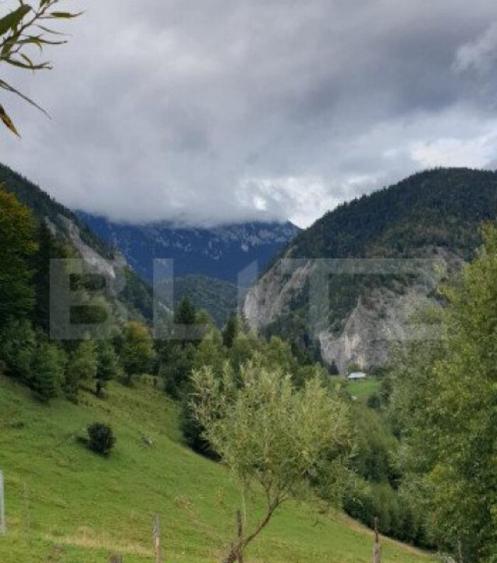 Teren 13.570 mp, Moieciu Pestera - 9