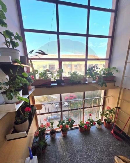 Apartament doua camere vis a vis de Vila Flora Medias - 7