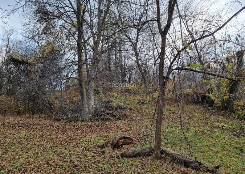 Teren Intravilan Breaza Prahova (zona Clubului de Golf) 1744mp