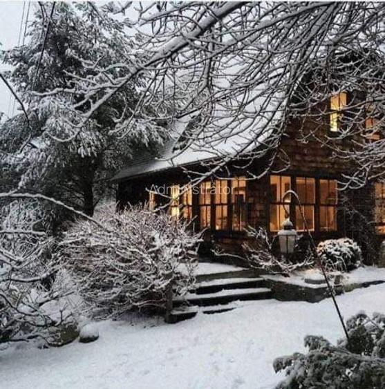 De vanzare 3800 mp teren in Paltinis langa Arka Parc si Arena Platos