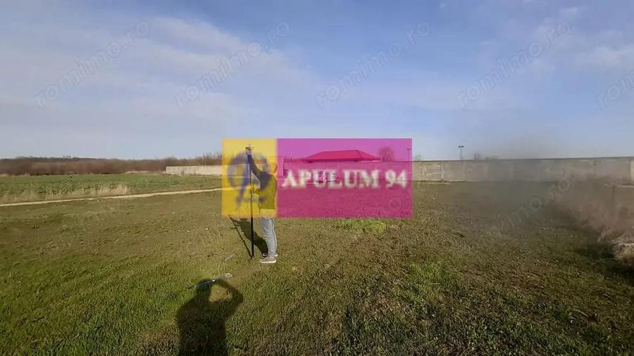 Parcela langa padure in Ilfov - 9