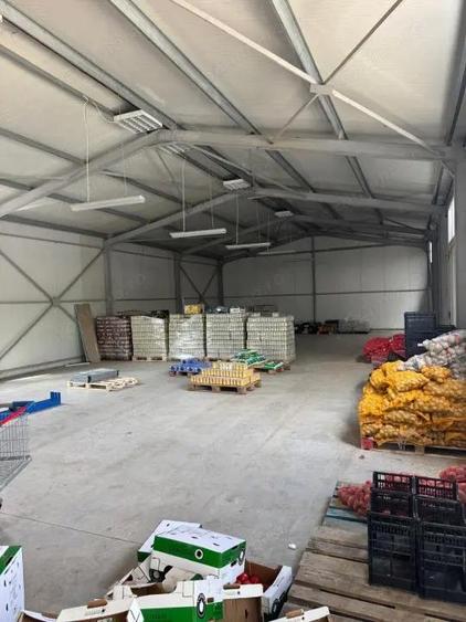 Spatiu comercial 280 mp + 700 mp curte, Filiasi - 2