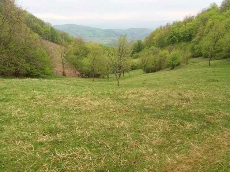 De vanzare aproape 3 Ha intr-o zona Climaterica, de o frumusete aparte - 3