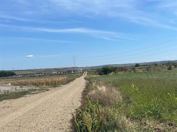 RECO Teren intravilan  industrial 6502 mp -FRONT 74 ML -centura Biharia - 7