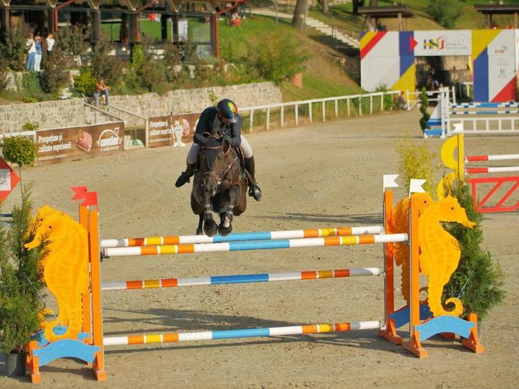 Domeniul Herneacova - 19