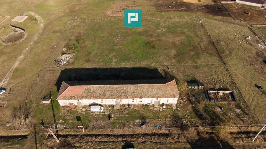 Hală industrială cu teren generos în Zărand, Arad - 53