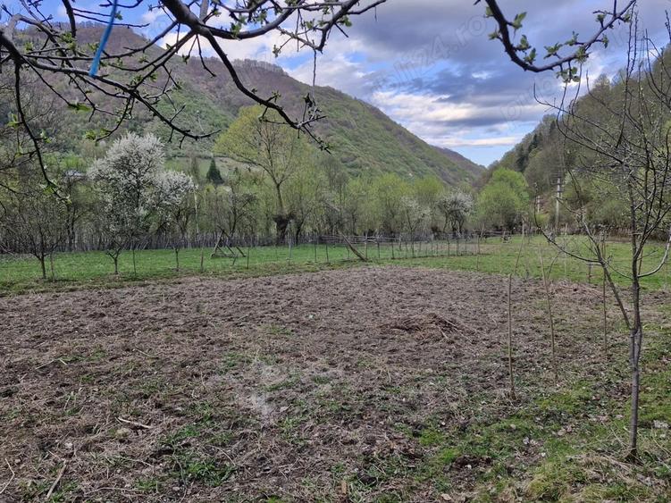 DE VANZARE- Proprietati ?i teren in comuna Malaia,sat Ciungetu(jud.Valcea) - 2