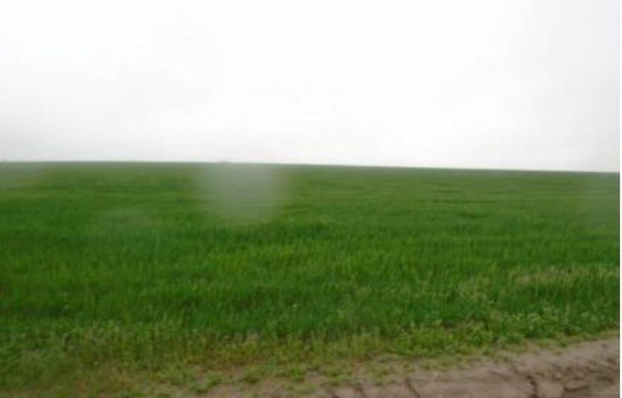 Cota de 1/24 din teren situat in Valea Mare, Jud Olt - 4