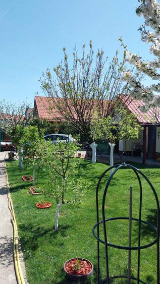 Casa de Vanzare Buftea - 2