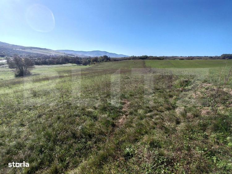 Teren intravilan de vanzare - 5