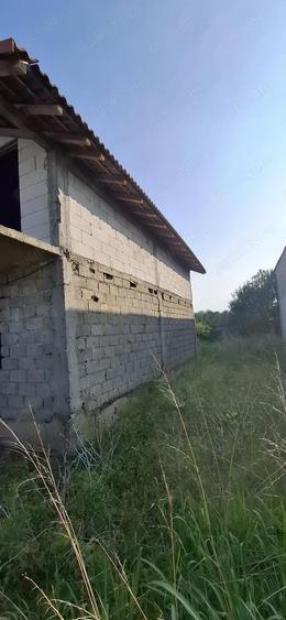 Vand Casa Walter Maracineanu nr.129 - 5