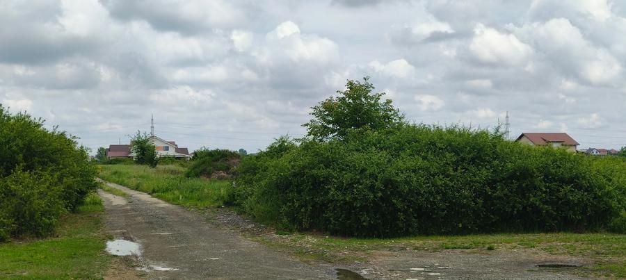 Teren Intravilan Moșnița Noua - 6