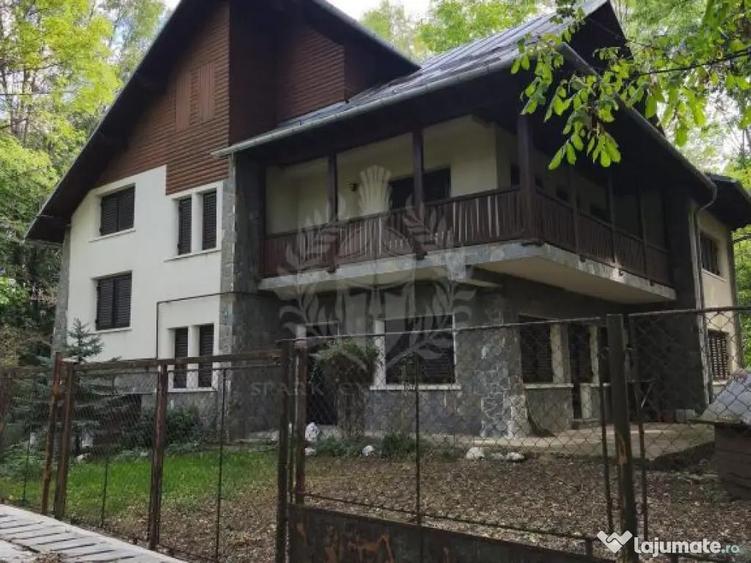 CASA DE VACANTA//CORNU DE JOS - 6