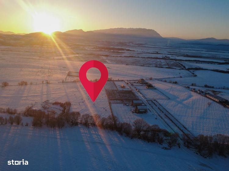 Teren de vanzare Ra?nov, Glajerie 10.000 mp - 1