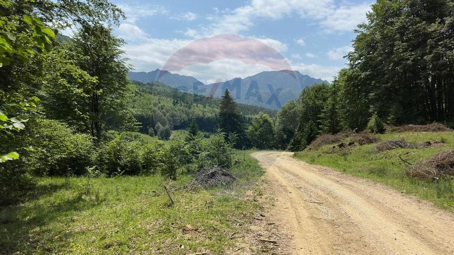 Teren 6000 mp, Vama Buzaului - vedere către Ciucaș - 11