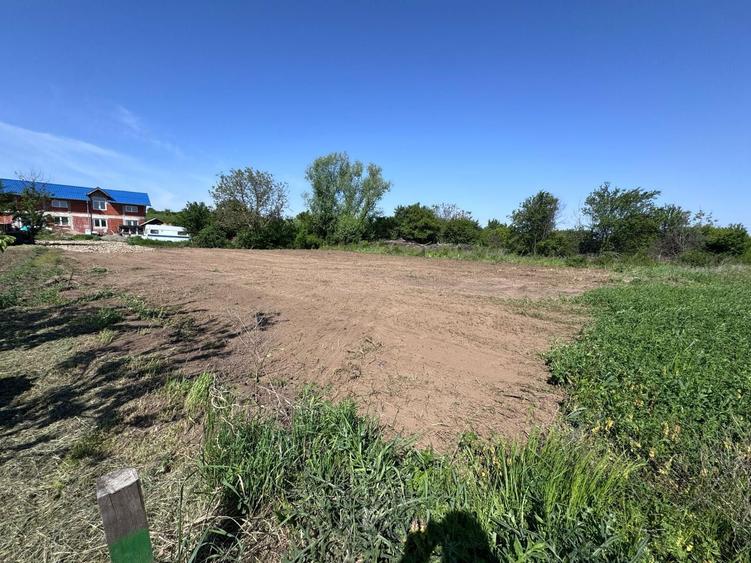 Vand teren intravilan in Sanmartin - 5