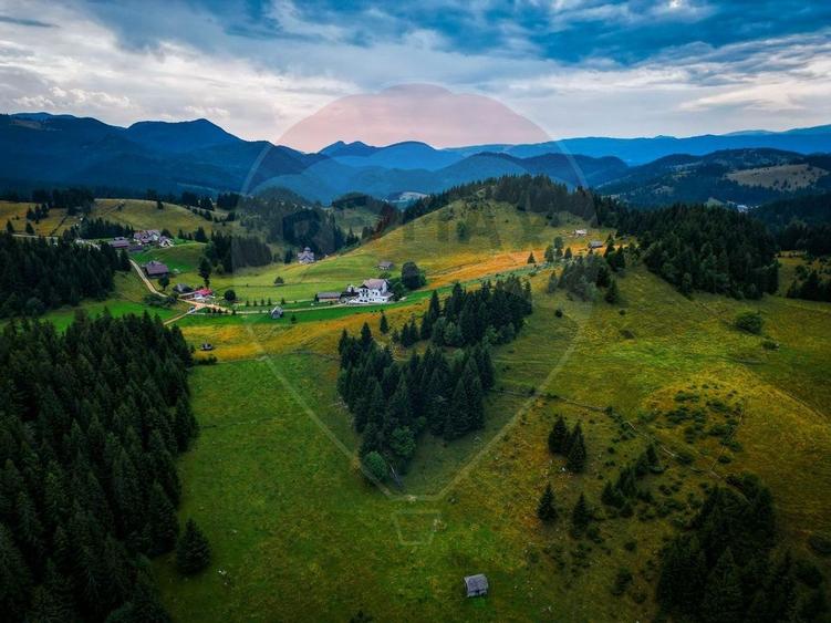 Teren de 7830mp de vanzare in Fundata! Comision 0% - 21