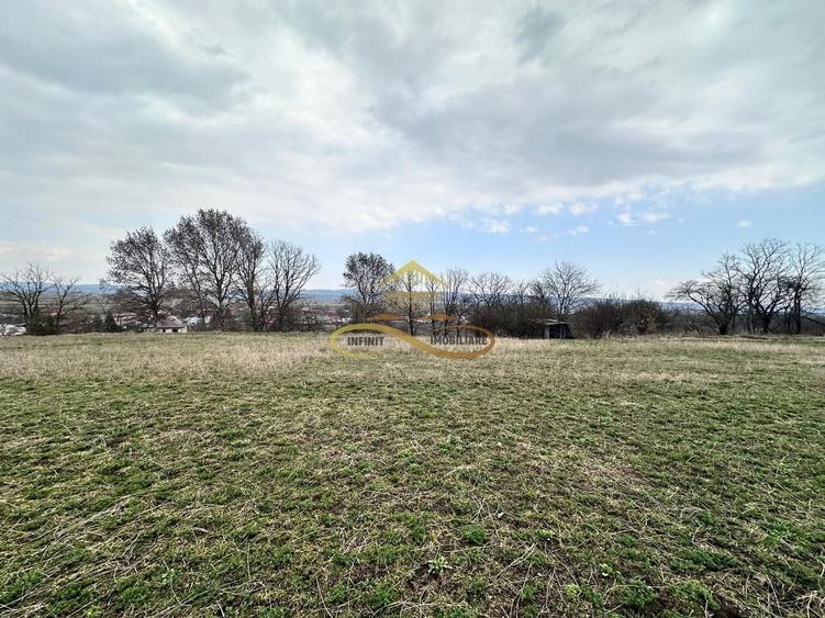 Teren de vanzare Blagesti Bacau - 1