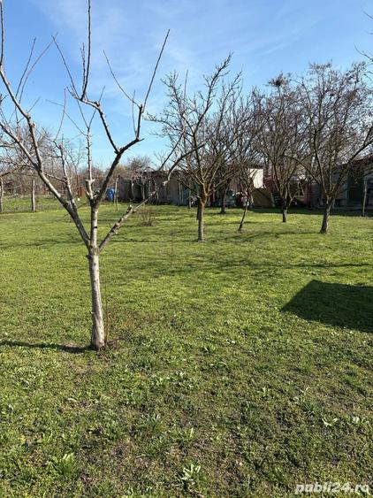 Casa de vanzare la Dridu Ialomita - 4