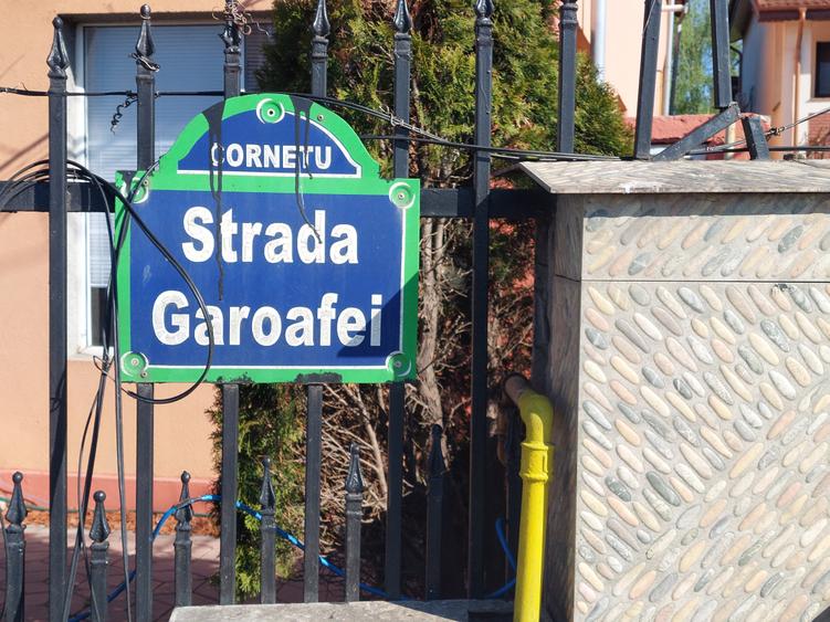 VANZARE TEREN INTRAVILAN CORNET - 15