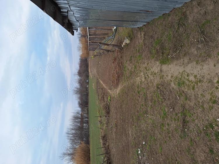 Vand casa in com.Poiana Mare,jud.Dolj - 7