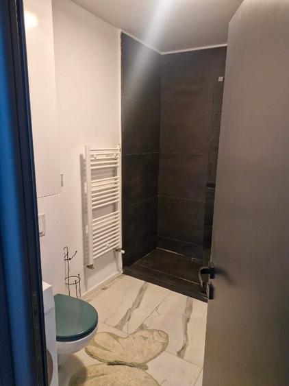 Propietar inchiriez ap2 camere strada Traian 58-62, 600 euro - 6