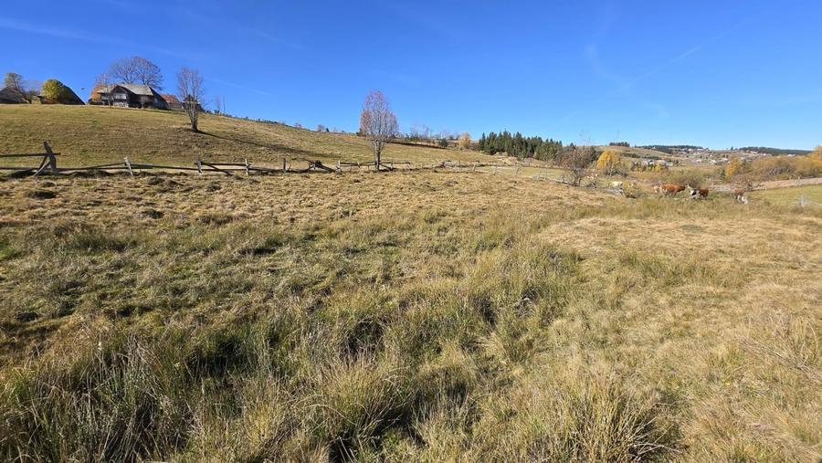 Teren extravilan, 4130mp, cu parau, la 500m de Primaria Marisel - 7