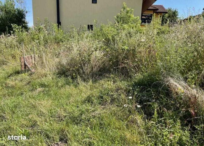 Vand teren 480 mp in zona Ciuperca Hunedoara - 6