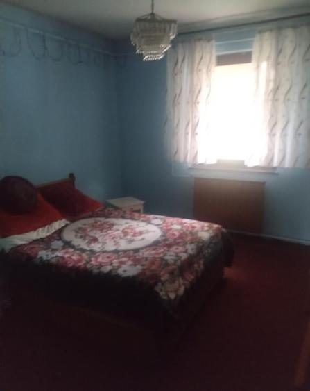 Inchiriez casa in Mezohegyes-Ungaria - ID : RH-43245-property - 5