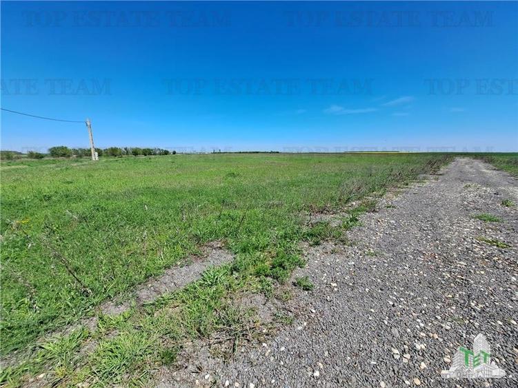 Loturi teren de vanzare Branesti/Vadu Anei - 10