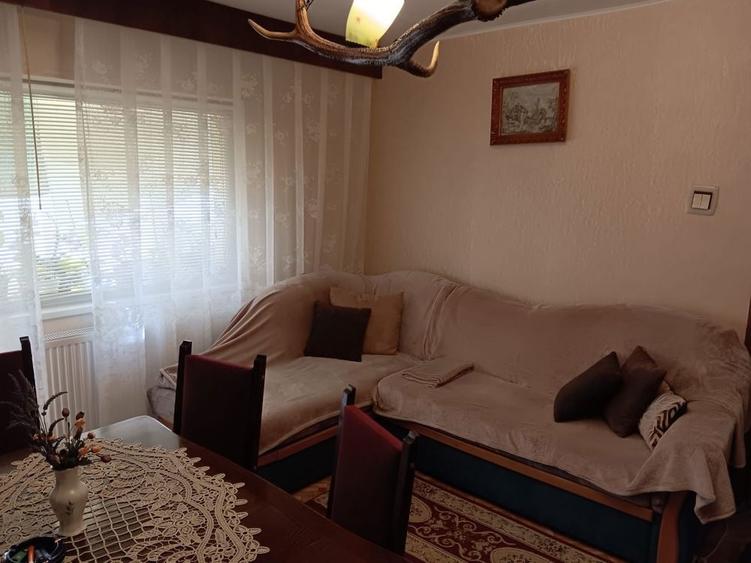 Apartament 3 camere, parter, Micalaca zona 500 - 6