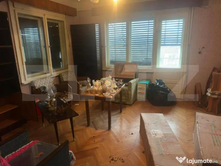 Casa cu teren generos de 6000 mp in Viile Satu Mare zo - 6