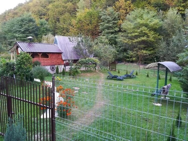 Iaz de vanzare in Apuseni- cazare, agrement si pescuit la DN74 Iaz de vanzare in Apuseni- cazare, agrement si pescuit la DN74