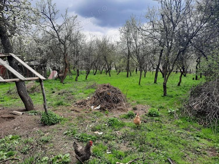 Casa vanzare Dambovi?a - 5