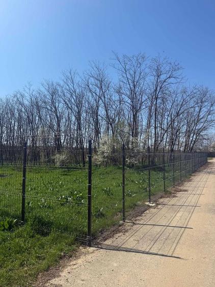 Vand teren intravilan Gruiu-Lipia - 5