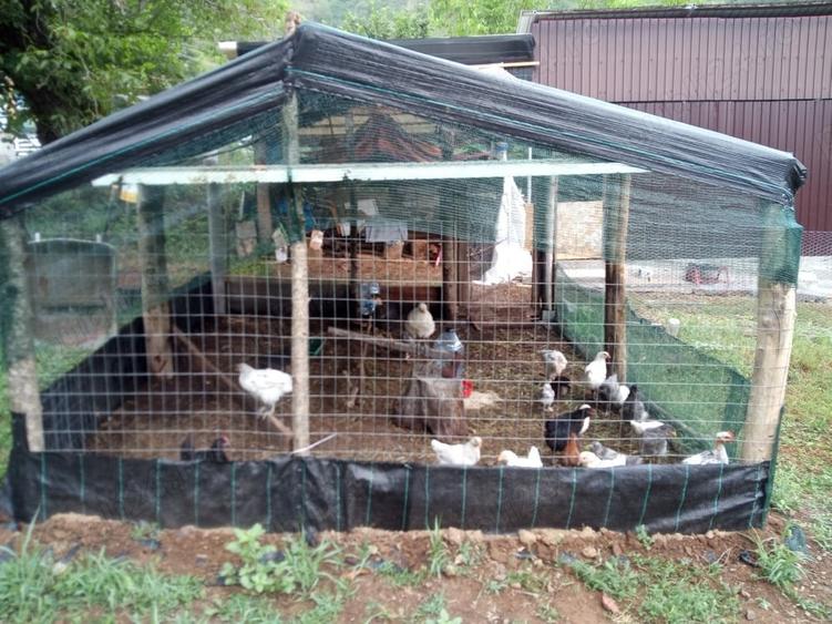 Gospodarie la cheie in zona rurala si linistita. - 5