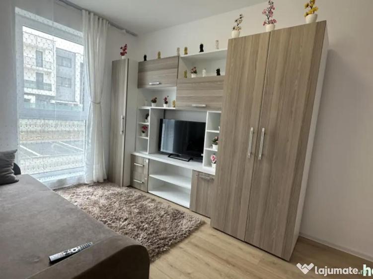 Apartament 2 camere, 41 mp, zona Vasile Alecsandri - 9