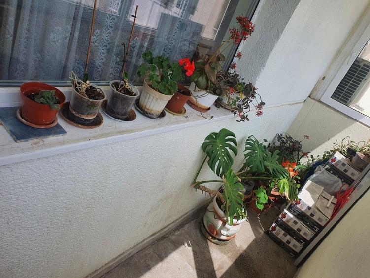 DOROBANTI - O investiție în stil, locație și viitor. - 6