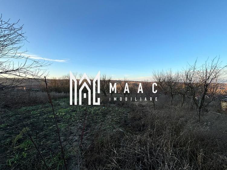 Casa 4 camere | 40 MPU | Curte 1.151MP | Teren 2.359 MP | Alba Iulia | Ohaba - 16