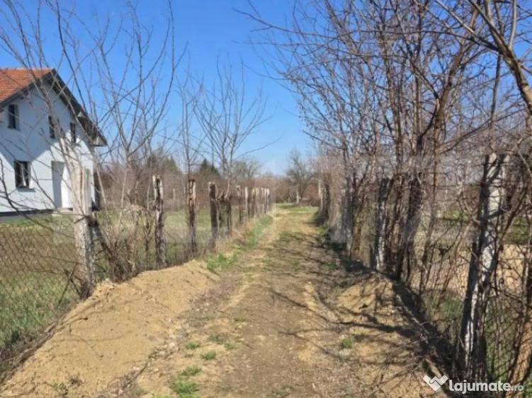 Teren intravilan de vanzare, 1400 mp, zona Bercu Rosu - 5