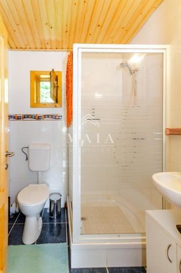 Casa 3 camere, 840 mp teren care include padure, Paltinis - 8