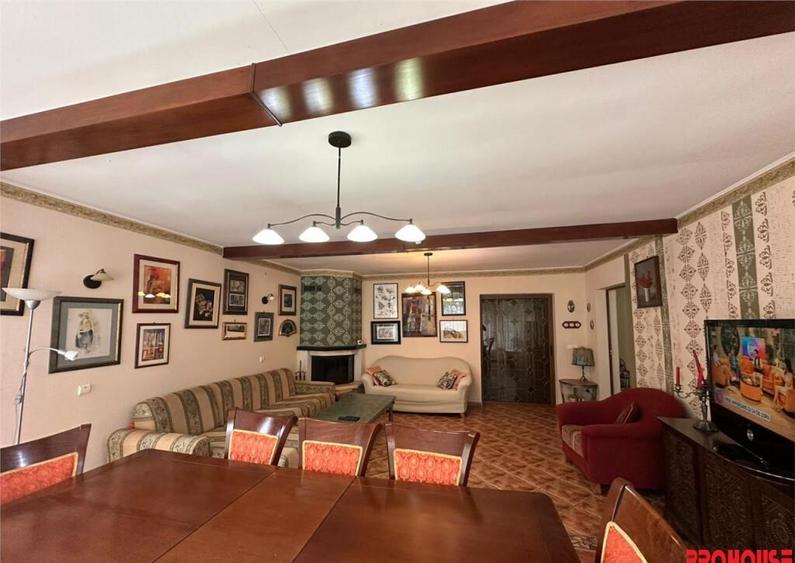 Casa deosebita in sat Podis - zona Dubas - 11