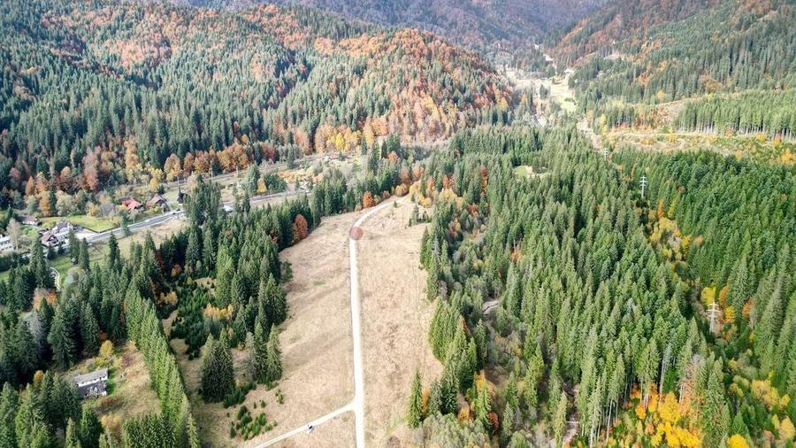 Poiana lui Manole - teren Intravilan - 21